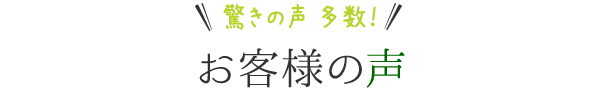 お客様の声